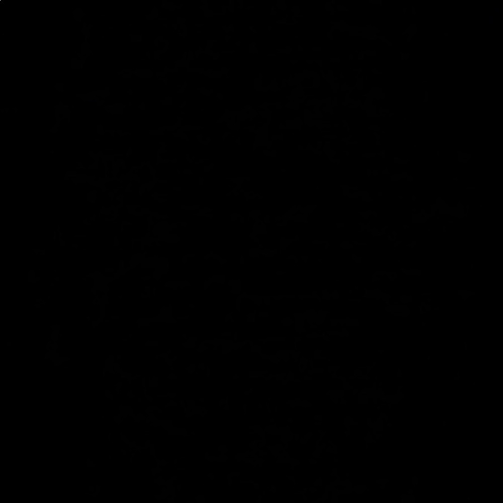 Information about my profile